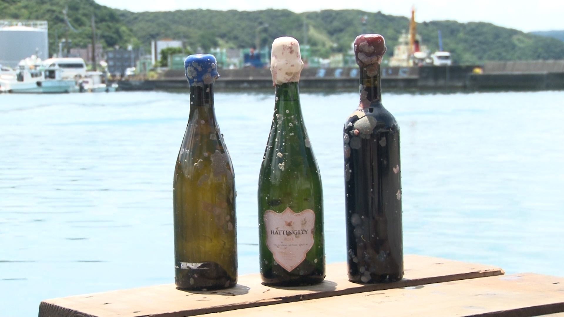 SfBで協働する「tlass SEA CELLAR」が、“奄美大島の海が育てた”熟成ワイン2nd Editionを先行販売