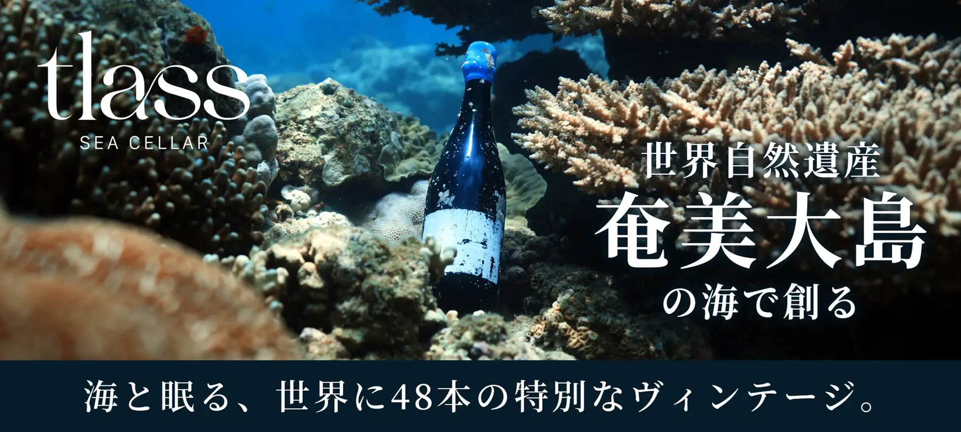 SfBで協働する「tlass SEA CELLAR」が、“奄美大島の海が育てた”熟成ワイン2nd Editionを先行販売